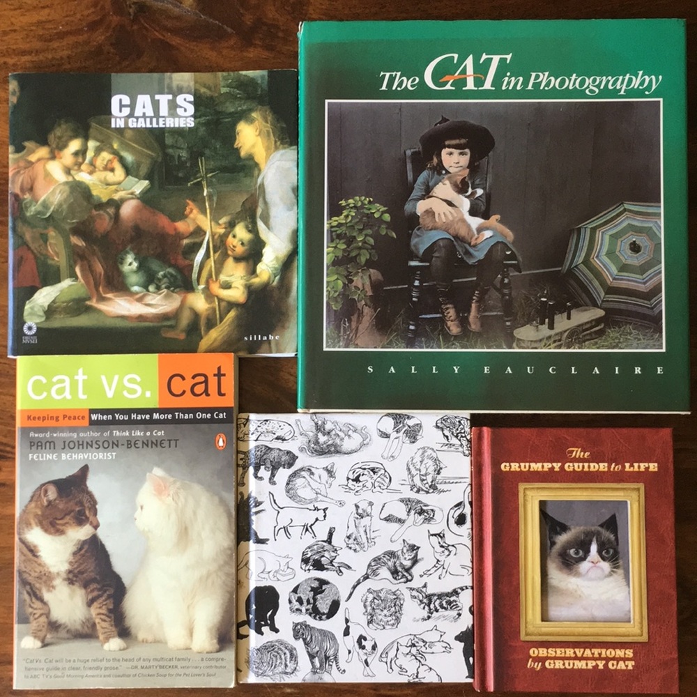Cat theme bundle of 6 six books, Grumpy Cat, Cats in Galleries, Photography, etc